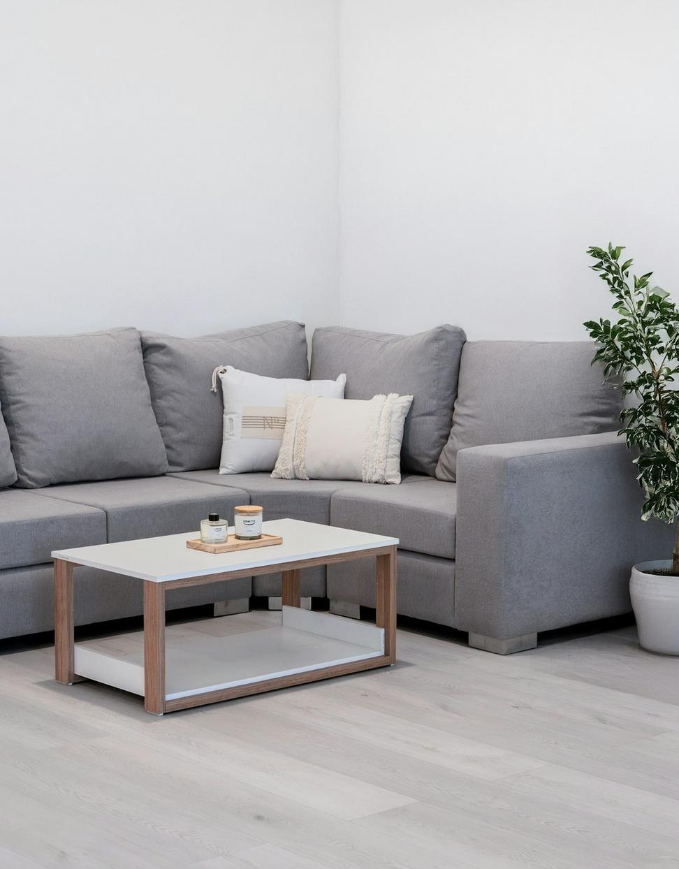 Minimalist Urban Loft