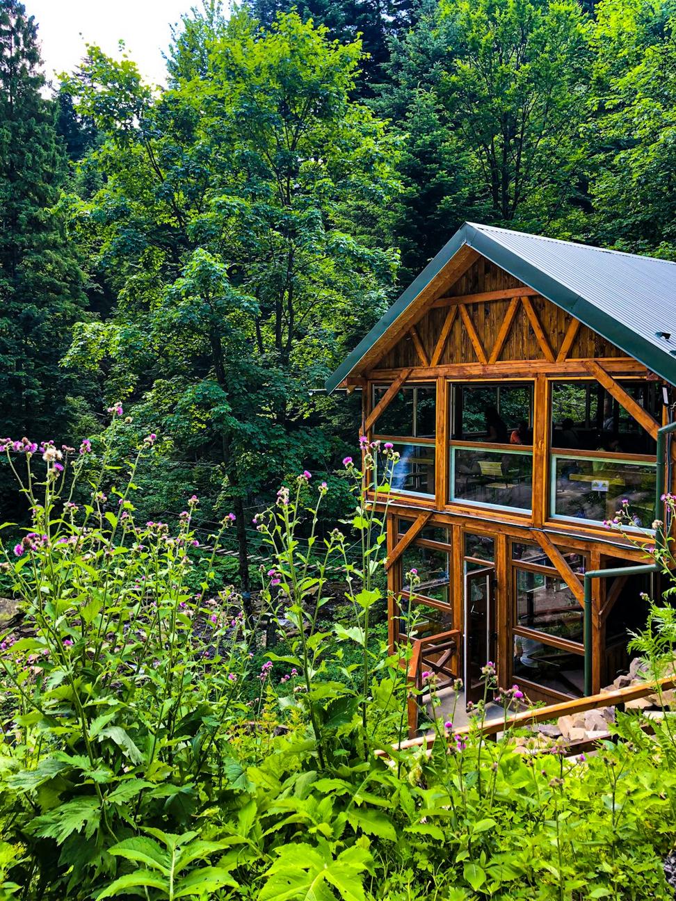 Mountain Retreat with Solar Integration