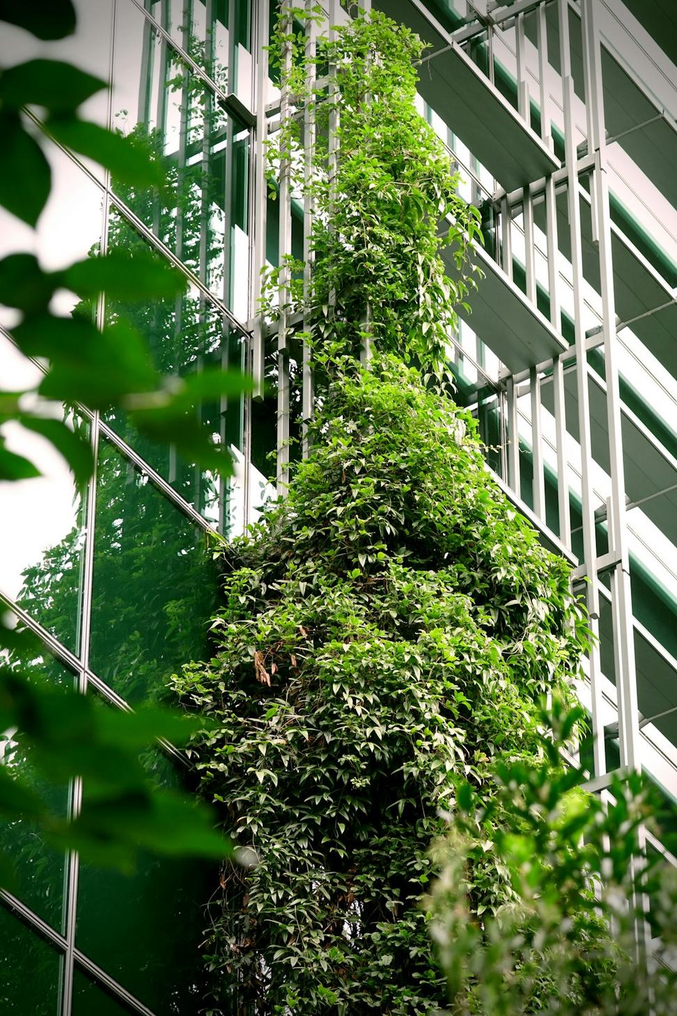 Green building certifications